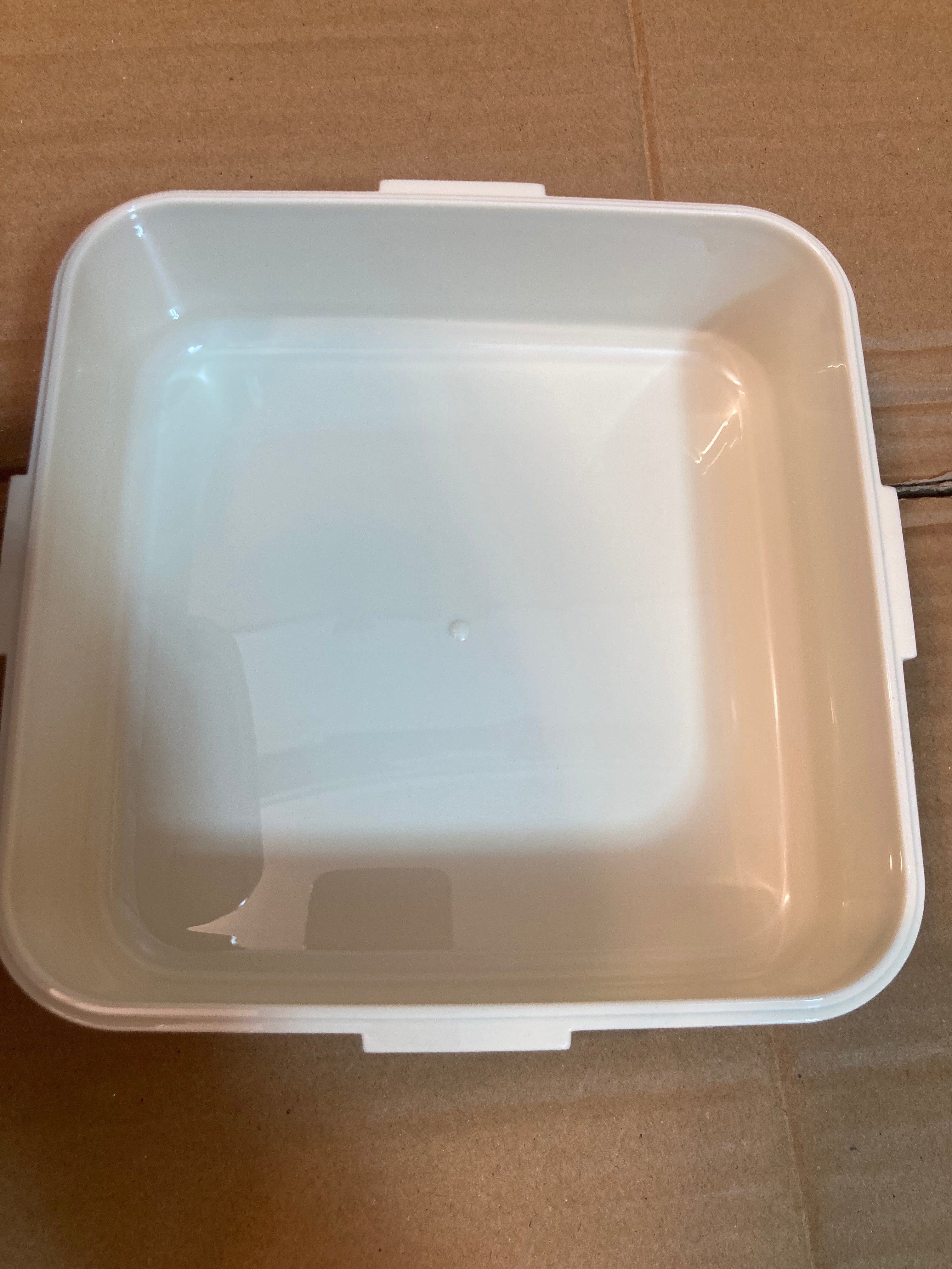 Cat Eye Stainless Steel Kids Launch Box