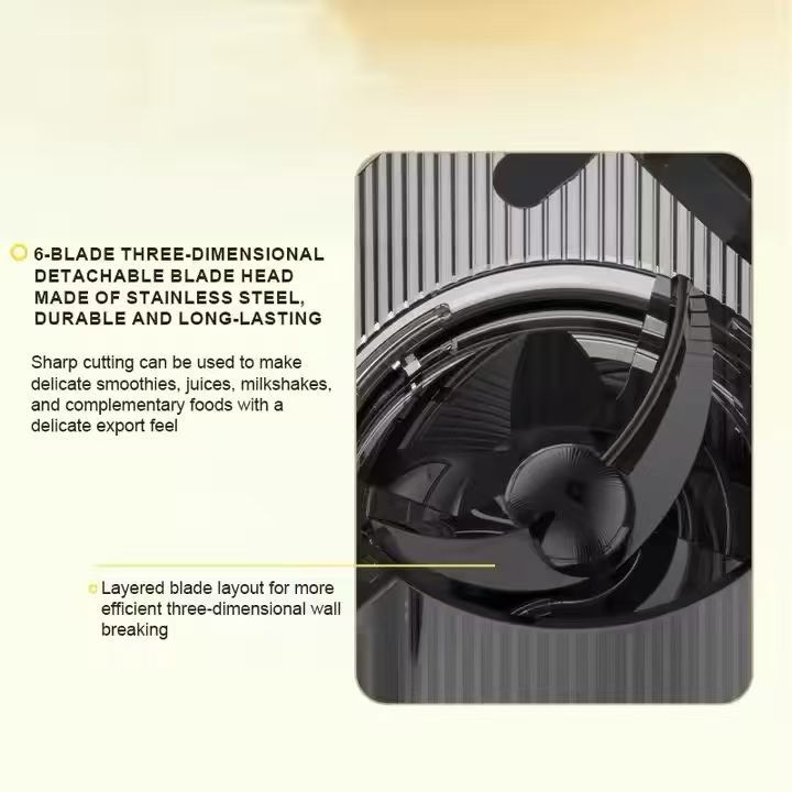 KoLAX Germany 800W Cold Press Slow Juicer 79321