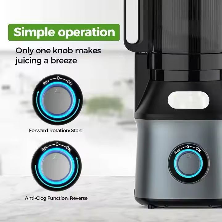 KoLAX Germany 800W Cold Press Slow Juicer 79321